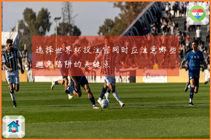 选择世界杯投注官网时应注意哪些避免陷阱的关键点
