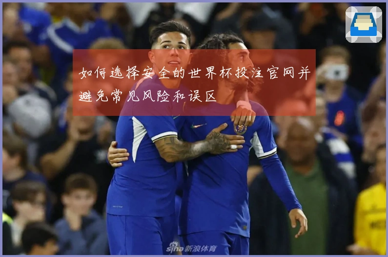 如何选择安全的世界杯投注官网并避免常见风险和误区