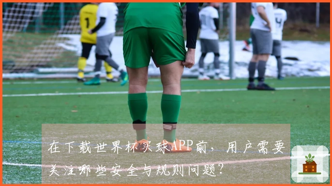 在下载世界杯买球APP前，用户需要关注哪些安全与规则问题？