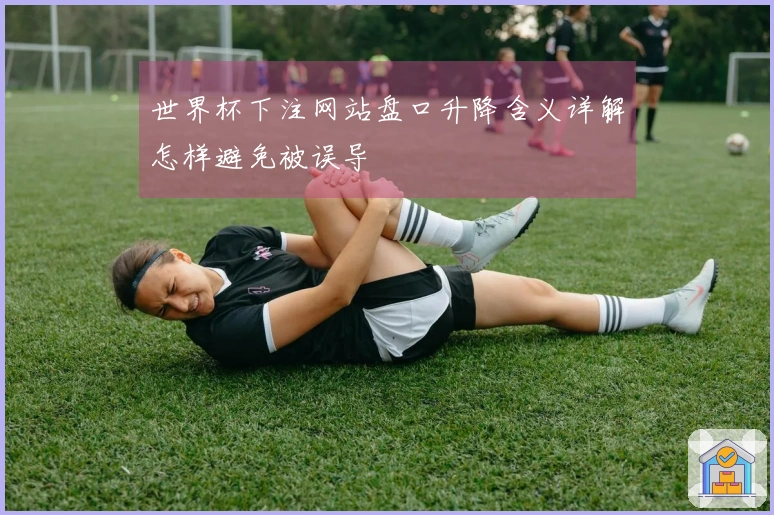 世界杯下注网站盘口升降含义详解怎样避免被误导