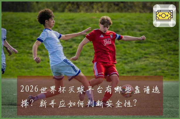 2026世界杯买球平台有哪些靠谱选择？新手应如何判断安全性？