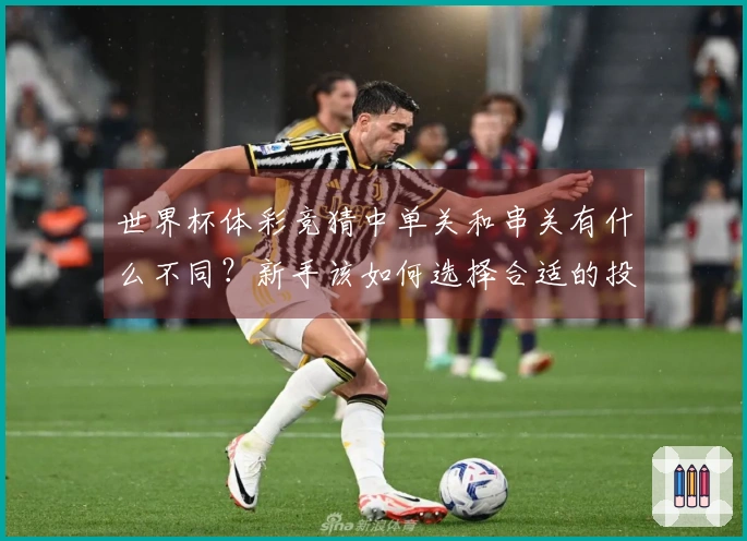 世界杯体彩竞猜中单关和串关有什么不同？新手该如何选择合适的投注方式？