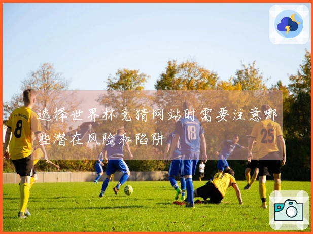选择世界杯竞猜网站时需要注意哪些潜在风险和陷阱