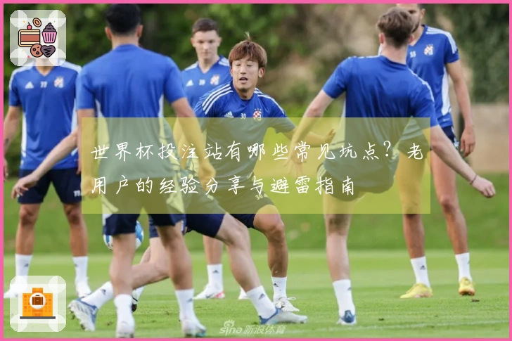 世界杯投注站有哪些常见坑点？老用户的经验分享与避雷指南