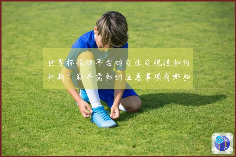 世界杯投注平台的合法合规性如何判断？新手需知的注意事项有哪些
