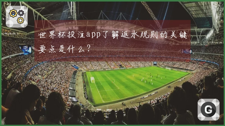 世界杯投注app了解返水规则的关键要点是什么？