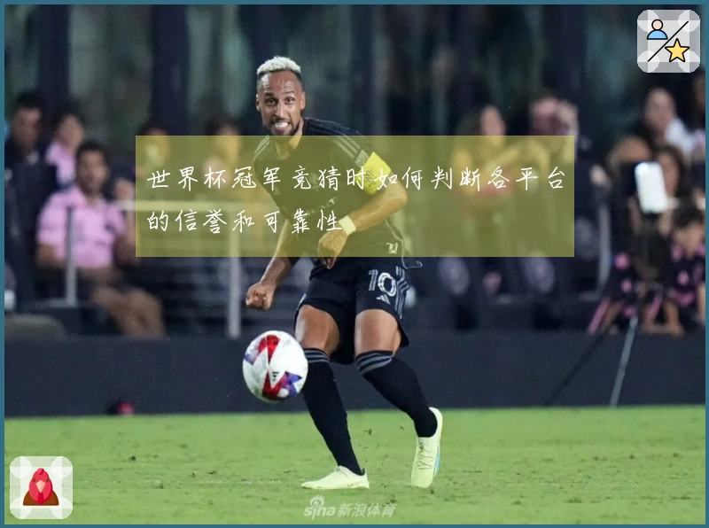 世界杯冠军竞猜时如何判断各平台的信誉和可靠性
