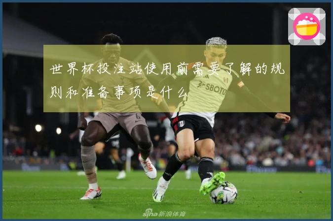 世界杯投注站使用前需要了解的规则和准备事项是什么