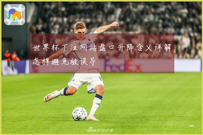 世界杯下注网站盘口升降含义详解怎样避免被误导