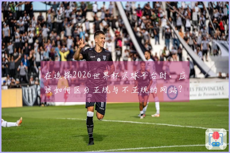在选择2026世界杯买球平台时，应该如何区分正规与不正规的网站？