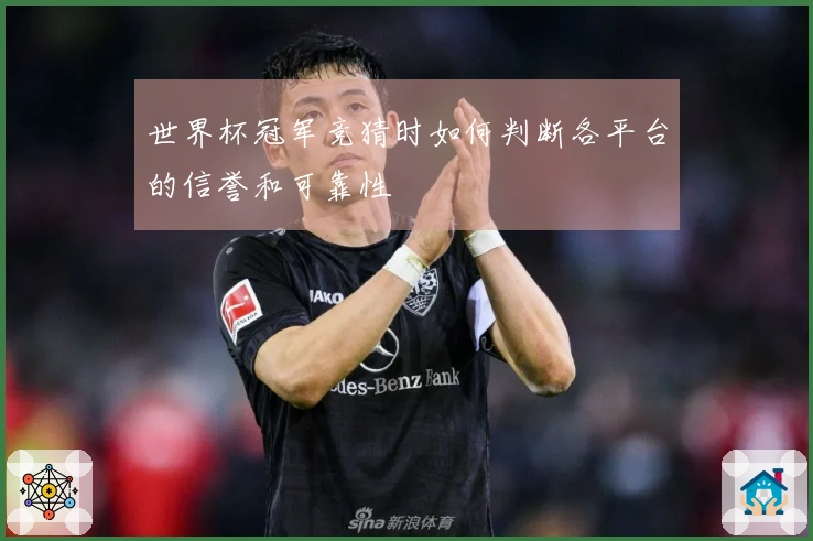 世界杯冠军竞猜时如何判断各平台的信誉和可靠性