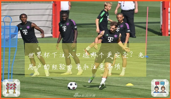 世界杯下注入口选哪个更安全？老用户的经验分享和注意事项