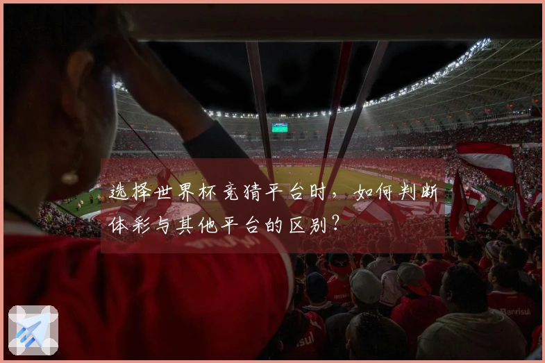 选择世界杯竞猜平台时，如何判断体彩与其他平台的区别？