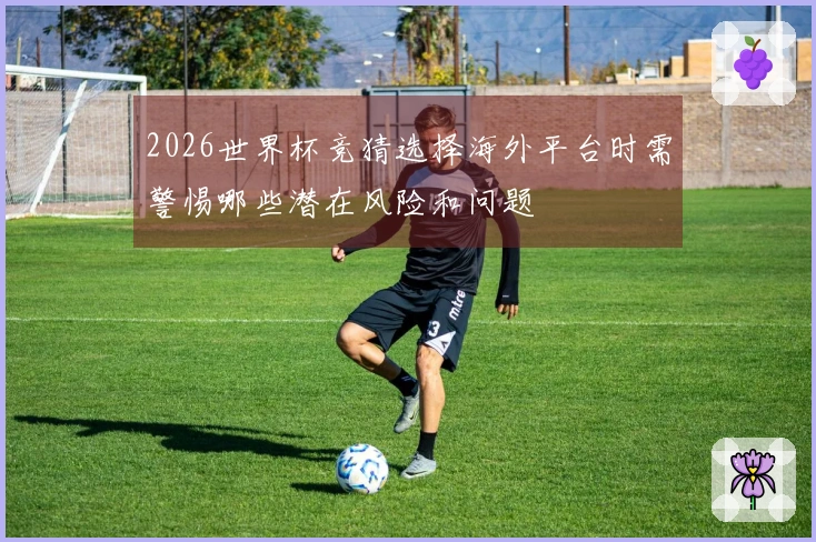 2026世界杯竞猜选择海外平台时需警惕哪些潜在风险和问题