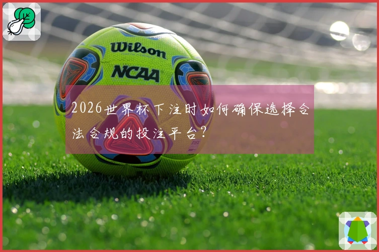 2026世界杯下注时如何确保选择合法合规的投注平台？