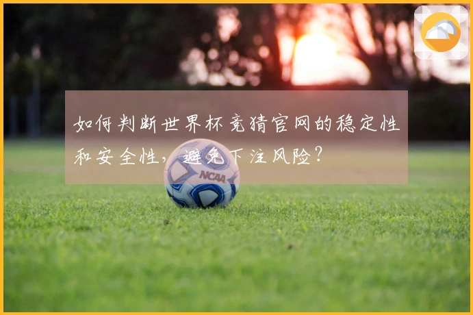 如何判断世界杯竞猜官网的稳定性和安全性，避免下注风险？