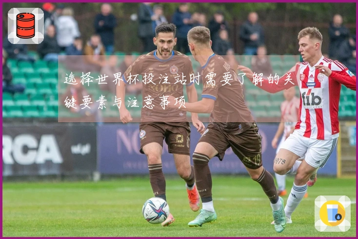 选择世界杯投注站时需要了解的关键要素与注意事项