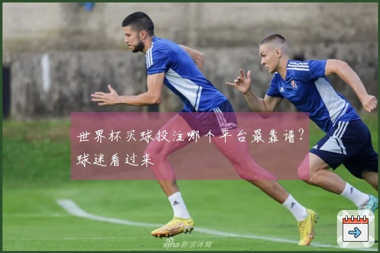 世界杯买球投注哪个平台最靠谱？球迷看过来