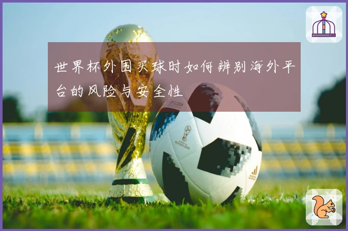 世界杯外围买球时如何辨别海外平台的风险与安全性