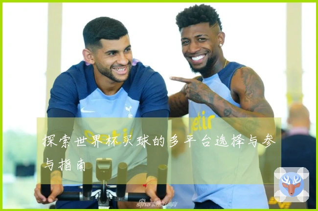 探索世界杯买球的多平台选择与参与指南