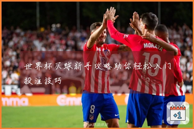 世界杯买球新手攻略助你轻松入门投注技巧