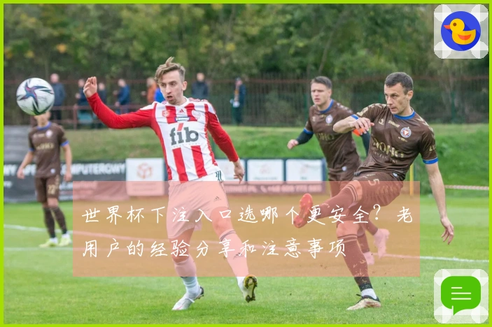 世界杯下注入口选哪个更安全？老用户的经验分享和注意事项