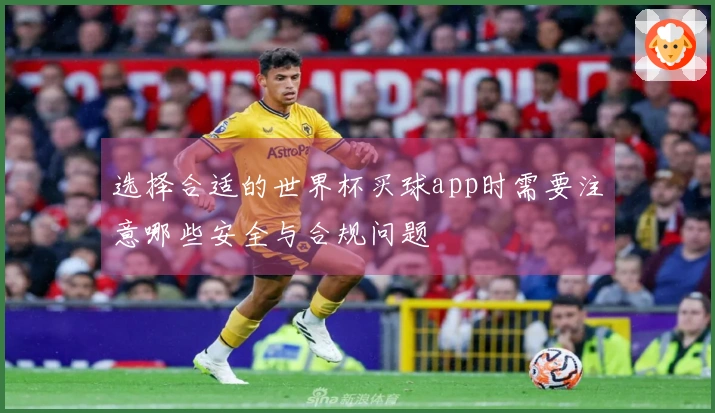 选择合适的世界杯买球app时需要注意哪些安全与合规问题