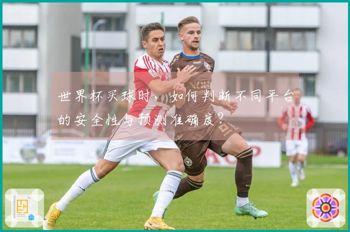 世界杯买球时，如何判断不同平台的安全性与预测准确度？