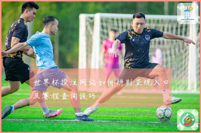 世界杯投注网站如何辨别正规入口及赛程查询技巧