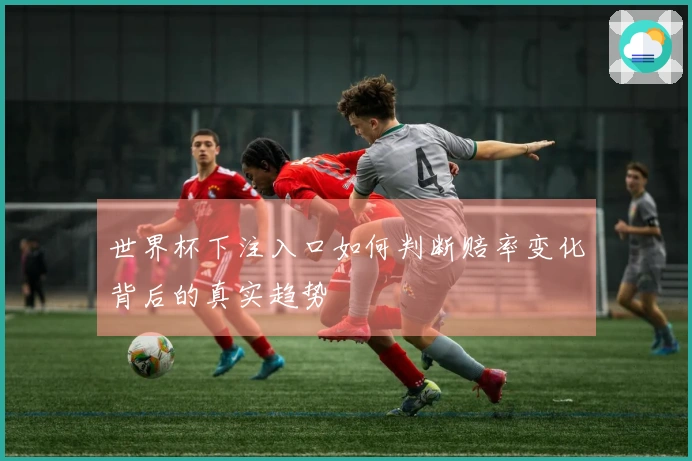 世界杯下注入口如何判断赔率变化背后的真实趋势