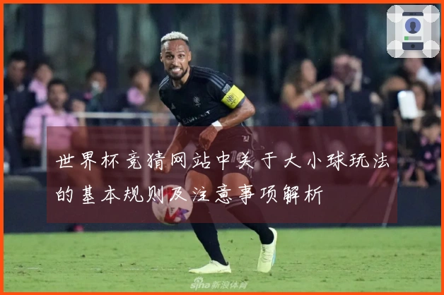 世界杯竞猜网站中关于大小球玩法的基本规则及注意事项解析
