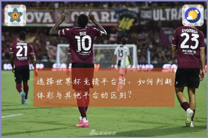 选择世界杯竞猜平台时，如何判断体彩与其他平台的区别？