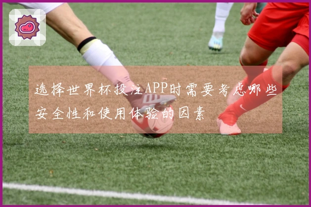 选择世界杯投注APP时需要考虑哪些安全性和使用体验的因素