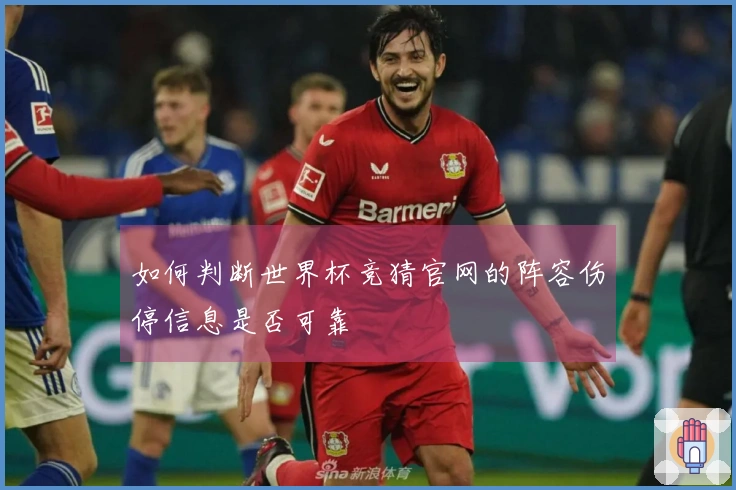 如何判断世界杯竞猜官网的阵容伤停信息是否可靠