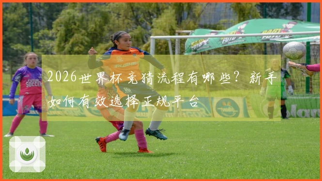 2026世界杯竞猜流程有哪些？新手如何有效选择正规平台