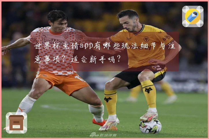 世界杯竞猜app有哪些玩法细节与注意事项？适合新手吗？