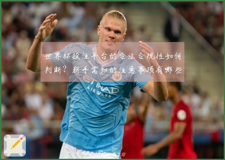 世界杯投注平台的合法合规性如何判断？新手需知的注意事项有哪些