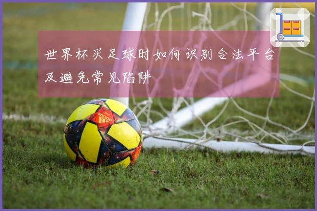 世界杯买足球时如何识别合法平台及避免常见陷阱